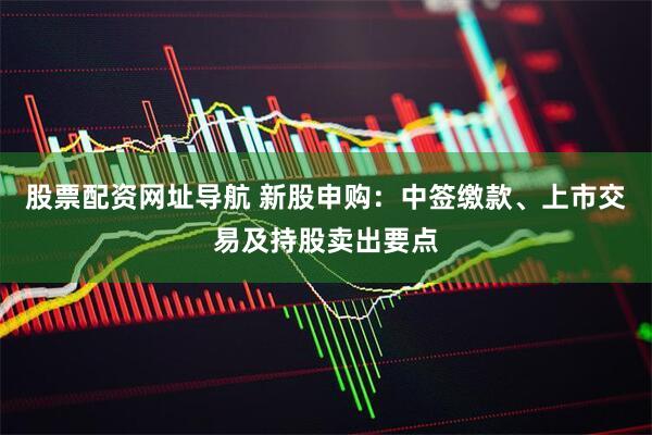 股票配资网址导航 新股申购：中签缴款、上市交易及持股卖出要点