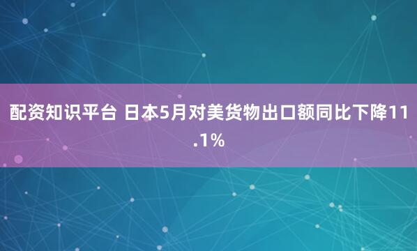配资知识平台 日本5月对美货物出口额同比下降11.1%