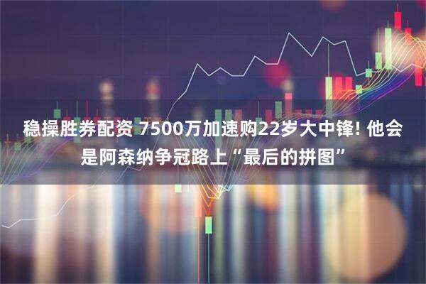 稳操胜券配资 7500万加速购22岁大中锋! 他会是阿森纳争冠路上“最后的拼图”