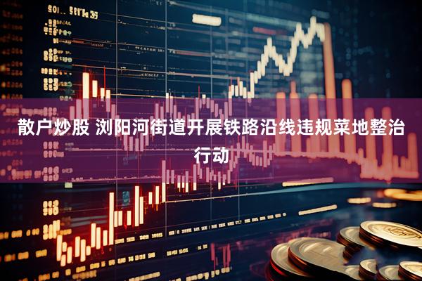 散户炒股 浏阳河街道开展铁路沿线违规菜地整治行动